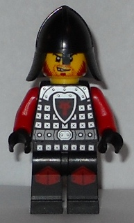 cas529